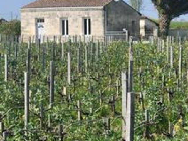 Maison vente à Lesparre-Médoc, Pauillac
