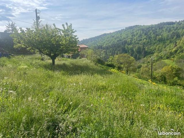 Maison vente à Mende, Grandrieu
