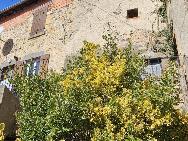 Maison vente à France métropolitaine, Chanonat