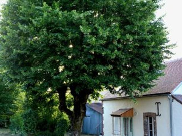 Maison vente à Montargis, Saint-firmin-des-bois
