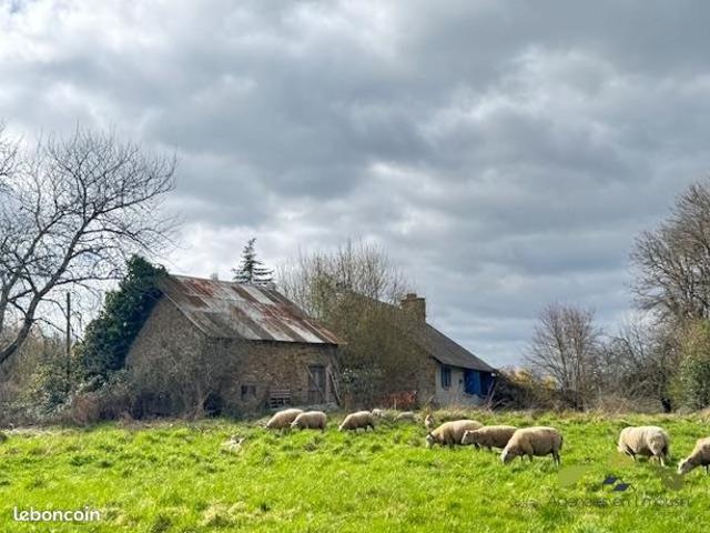 Maison vente à Tulle, Peyrissac