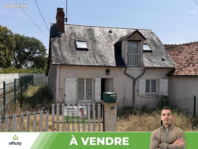 Maison vente à Pleumartin, Vienne