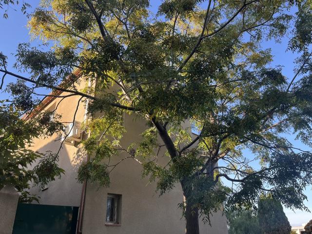 Maison vente à Perpignan, Saleilles