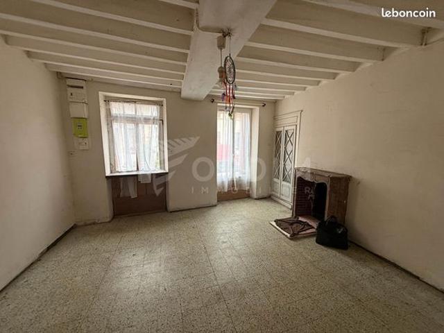 Maison vente à Auxerre, Saint-sauveur-en-puisaye