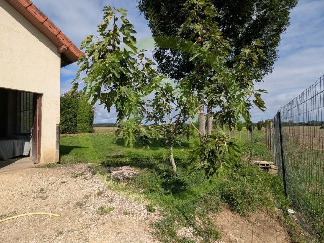 Maison vente à Chalon-sur-Saône, Navilly
