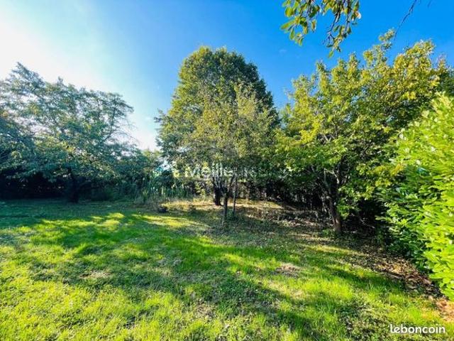 Maison vente à Toulouse, Balma