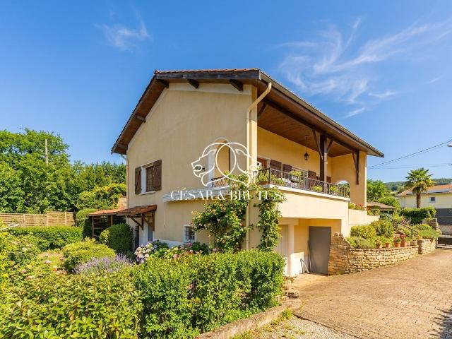 Maison vente à Lyon, Métropole de Lyon