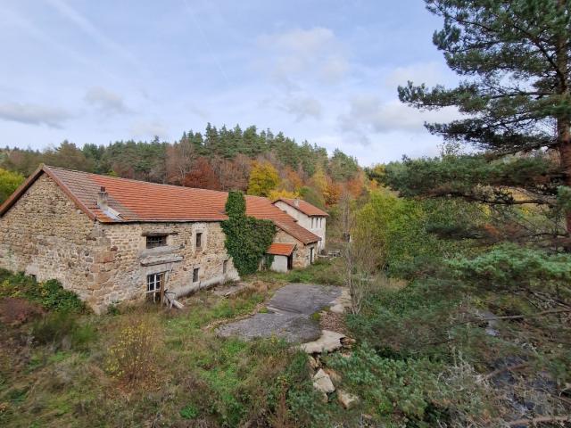 Maison vente à Le Puy-en-Velay, Présailles