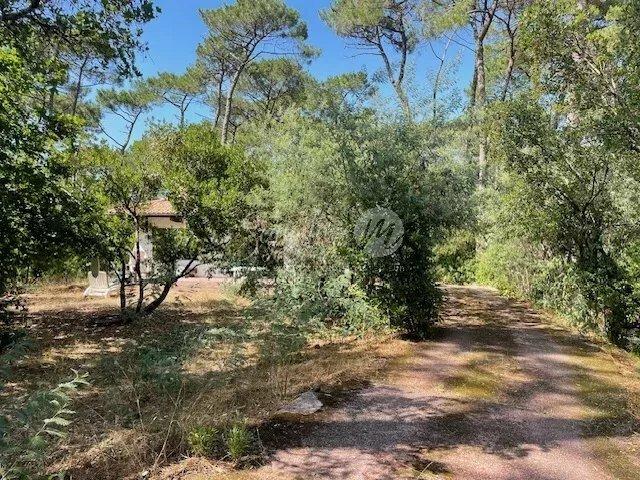Maison vente à Arcachon, La Teste-de-buch