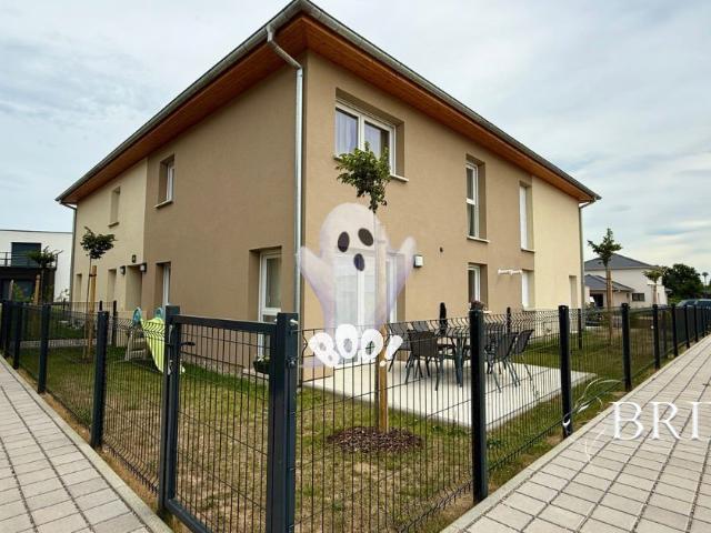 Maison vente à Burnhaupt-le-Bas, Collectivité européenne d'Alsace