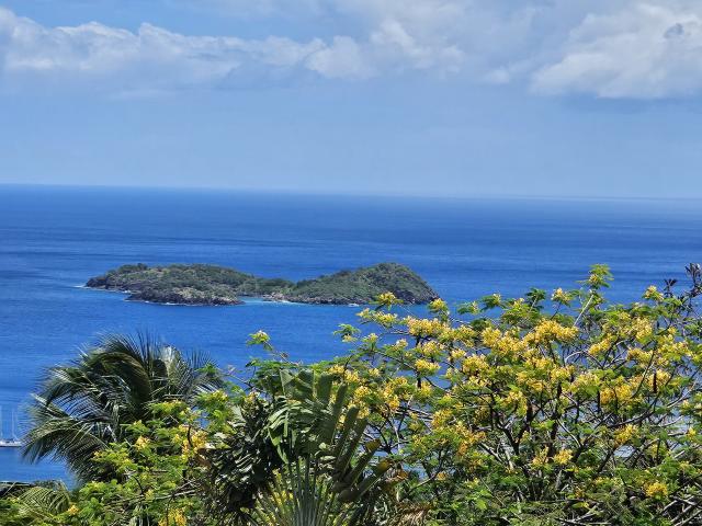 Maison vente à Guadeloupe