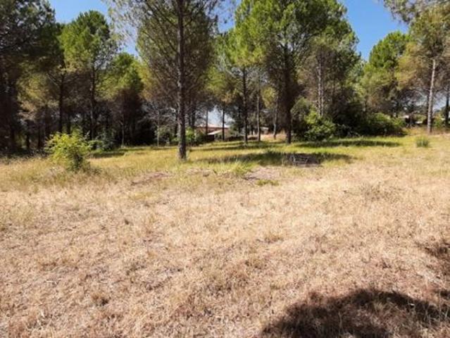 Maison vente à Arrondissement de Draguignan, Roquebrune-sur-argens
