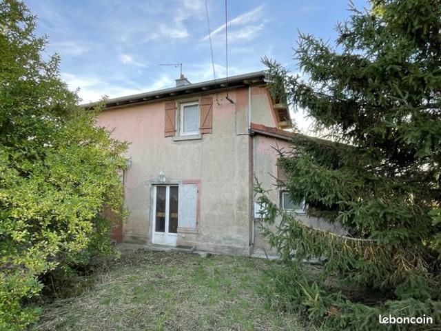 Maison vente à Sarrebourg-Château-Salins, Héming