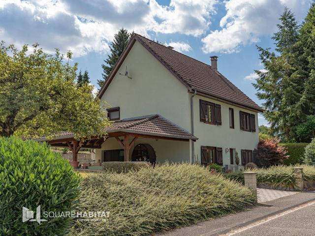 Maison vente à Haguenau-Wissembourg, Lobsann