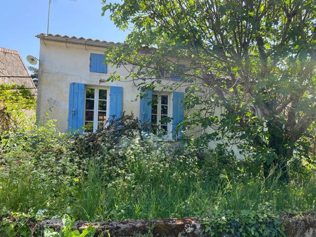 Maison vente à Libourne, Montagne