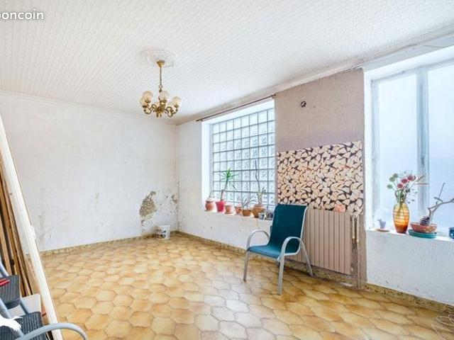 Maison vente à Lyon, Métropole de Lyon