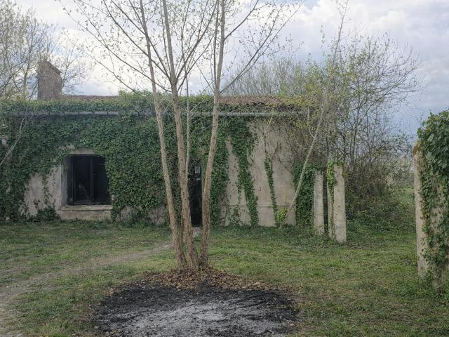 Maison vente à Lesparre-Médoc, Listrac-médoc