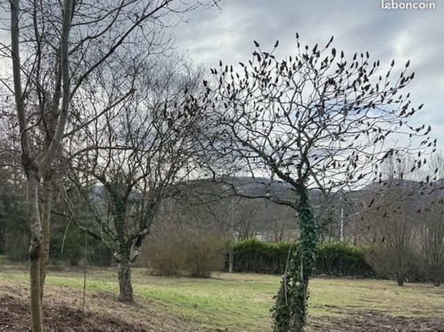 Maison vente à Die, Aouste-sur-sye
