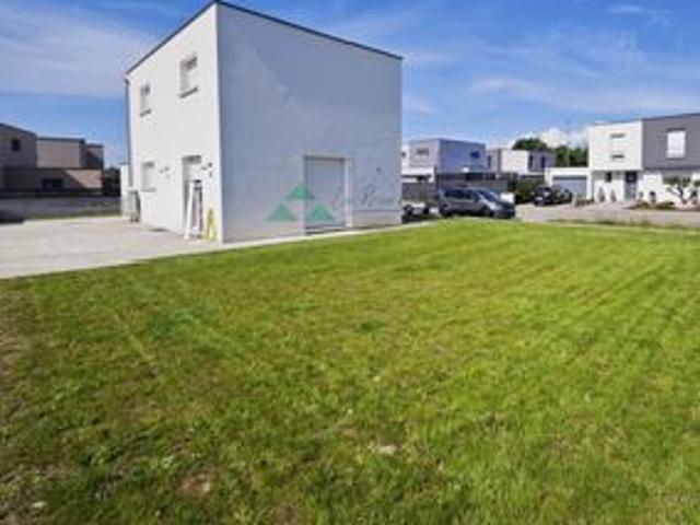 Maison vente à Mulhouse, Blotzheim