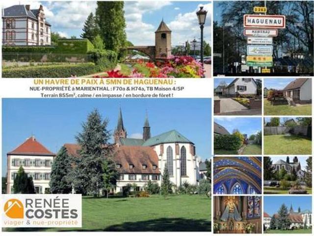 Maison vente à Haguenau, Collectivité européenne d'Alsace