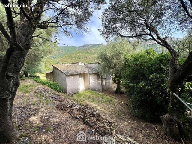 Maison vente à Bastia, Brando