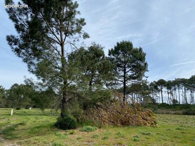 Maison vente à Arcachon, Mios
