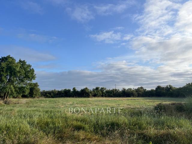 Maison vente à France métropolitaine, Talais