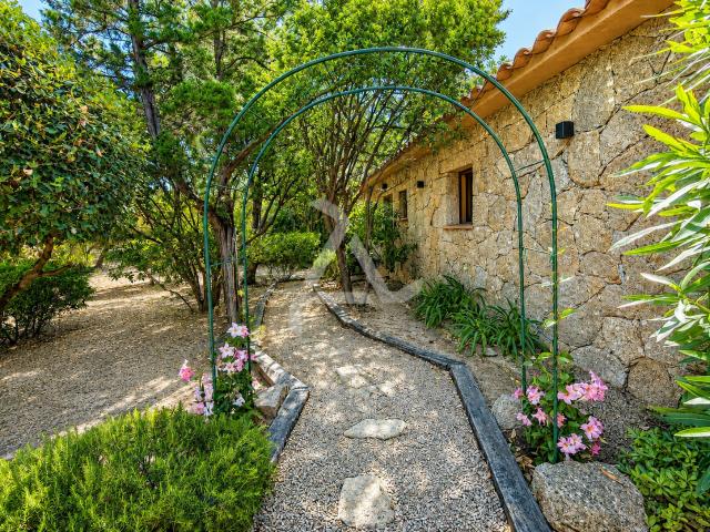Maison vente à Sartène, Lecci