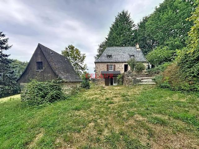 Maison vente à Beaulieu-sur-Dordogne