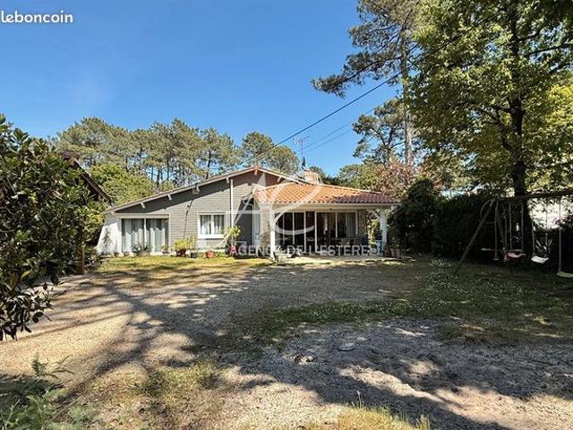 Maison vente à Arcachon, Lège-cap-ferret