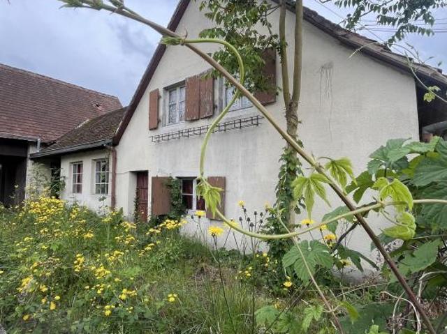 Maison vente à Sélestat-Erstein, Ebersmunster