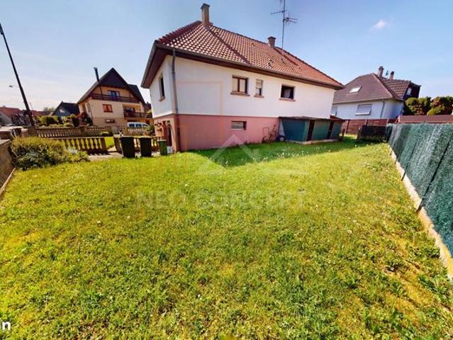 Maison vente à Haguenau-Wissembourg, Drusenheim