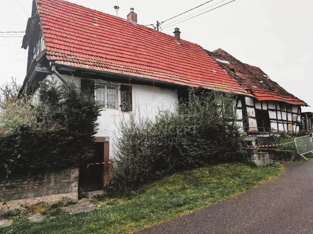 Maison vente à Haguenau-Wissembourg, Kutzenhausen