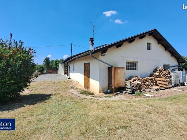 Maison vente à Grenoble, Chatte