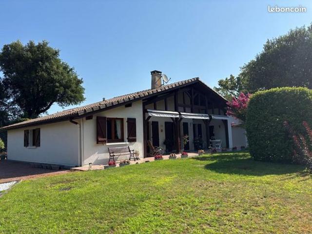 Maison vente à Léon