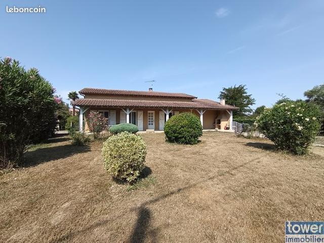Maison vente à Montauban, Montech