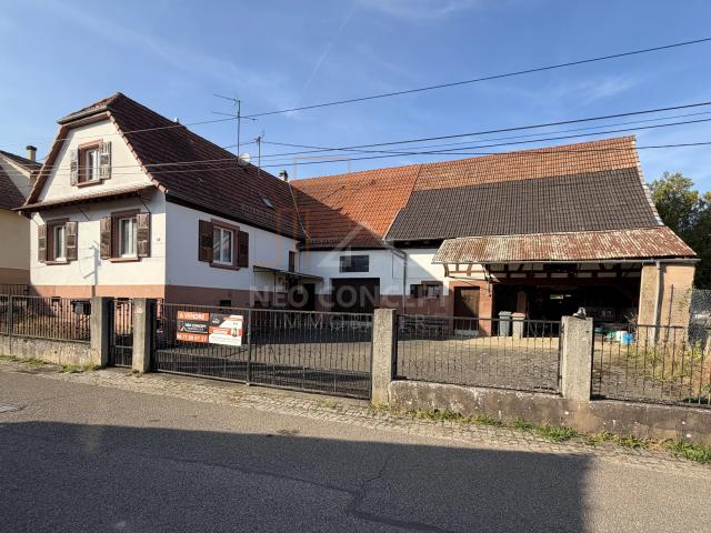Maison vente à Frœschwiller, Collectivité européenne d'Alsace