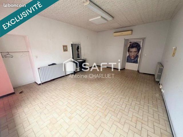 Maison vente à Châteauroux, Clion