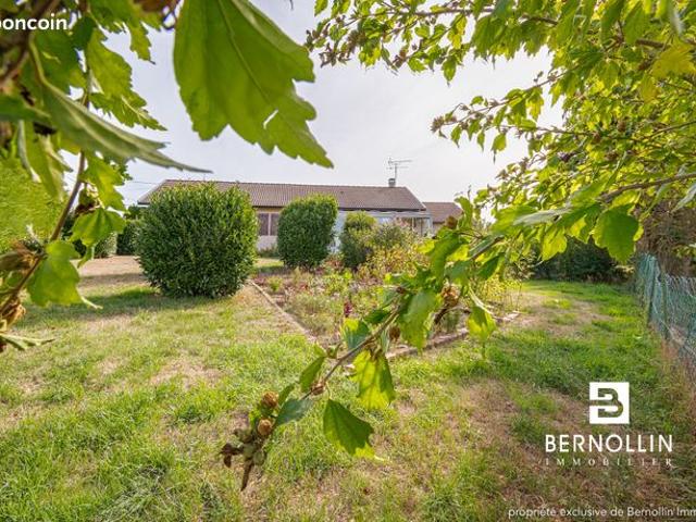 Maison vente à Saint-André-sur-Vieux-Jonc, Ain