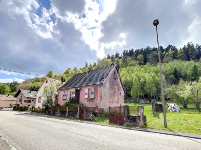 Maison vente à Haguenau-Wissembourg, Dambach