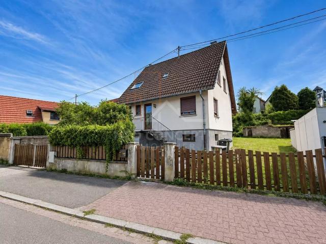 Maison vente à Haguenau-Wissembourg, Seltz