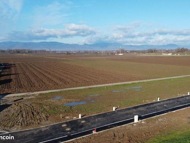 Maison vente à Horbourg-Wihr, Collectivité européenne d'Alsace