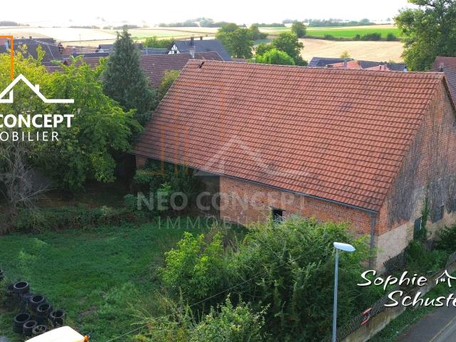 Maison vente à Siegen, Collectivité européenne d'Alsace