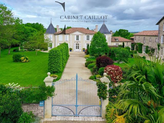 Château vente à Saintes, Saint-porchaire