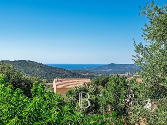 Maison vente à Calvi