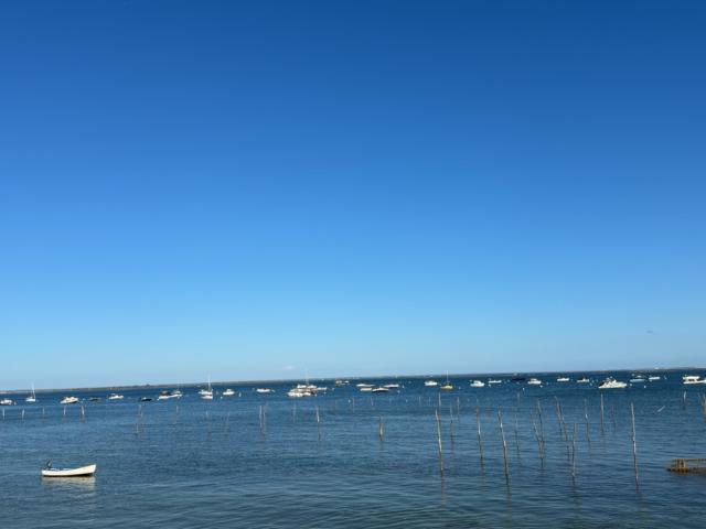 Maison vente à L'Herbe, Lège-Cap-Ferret