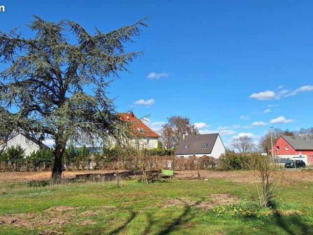 Maison vente à Mulhouse, Staffelfelden