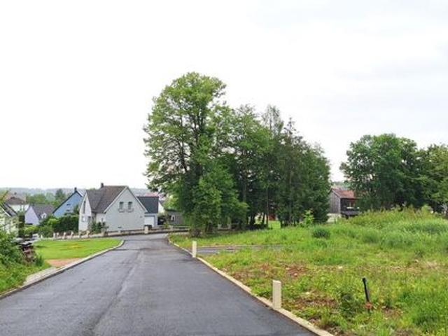 Maison vente à Pfetterhouse, Collectivité européenne d'Alsace