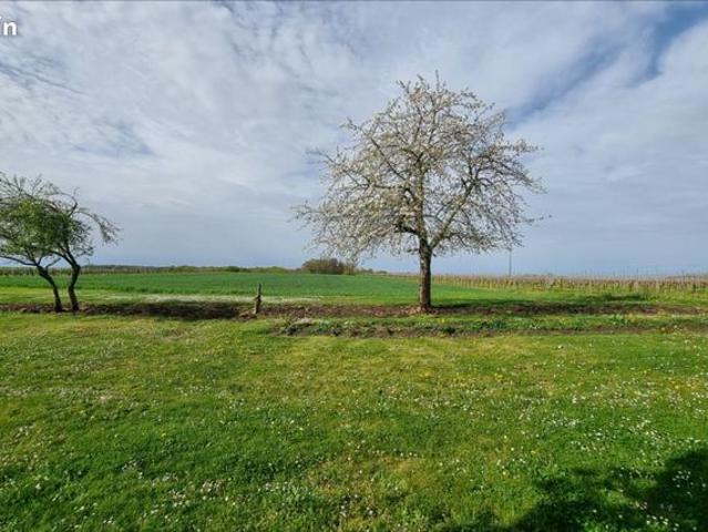 Maison vente à Jonzac