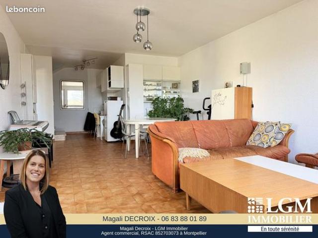 Maison vente à Montpellier, Castelnau-le-lez